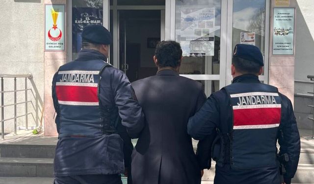 Çok yediğini iddia ettiği köpeğini ağaca asıp öldüren şüpheli tutuklandı