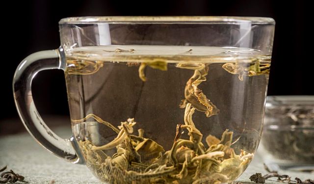 Sınırlı miktarda üretilen beyaz çayın kilosu 40 bin TL