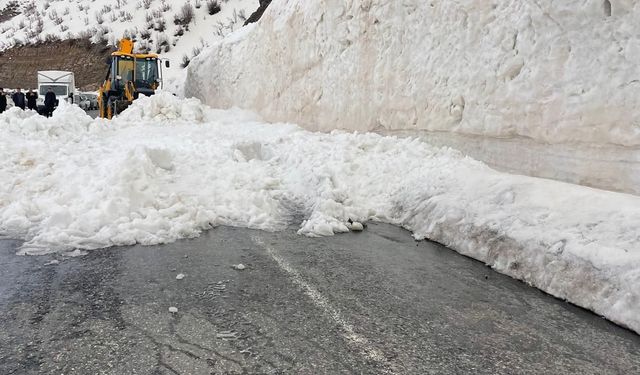 Şırnak kara yolu çığ nedeniyle kapandı