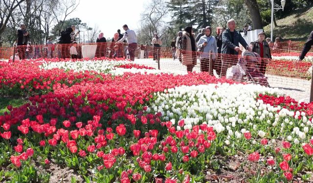 İstanbul'da lale zamanı; tarihi park ve korulara 3 milyon 580 bin lale dikildi