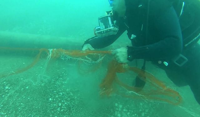 Temizlenen 'hayalet ağlar' ile 1,5 milyon deniz canlısı kurtarıldı