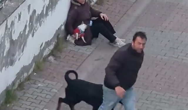 Ümraniye’de ağızlıksız gezdirilen rottweiler, küçük ırk köpeğe saldırdı