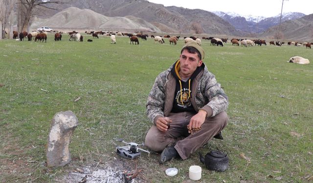 Yeni nesil çoban; dron ile sürüyü 30 saniyede topladı