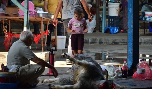 '12 yaşından küçüklere kurban kesimini göstermeyin'