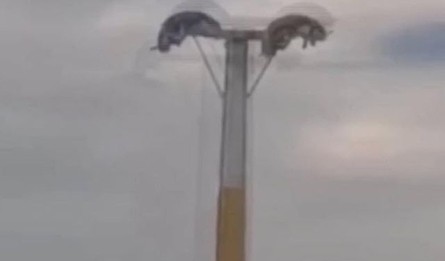 Lunaparkta arızalanan oyuncakta baş aşağı mahsur kaldılar