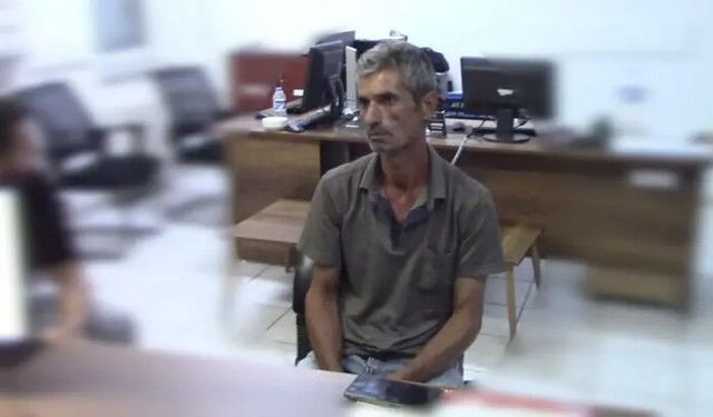 Narin cinayetinde Nevzat Bahtiyar’ın 17 yıl hapis cezasına çarptırıldığı kararın gerekçesi açıklandı