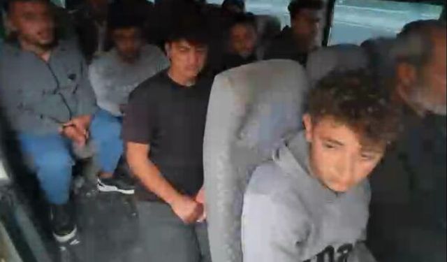 Otoyolda durdurulan minibüste 15 kaçak göçmen yakalandı