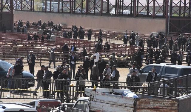 Van'da hayvan pazarında kavga; 1 ölü, 13 yaralı