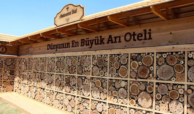 Adana'da hayata geçirilen 'arı oteli' dünyanın en büyüğü; Guinness tescil etti