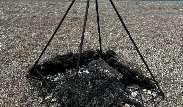 Deniz kaplumbağası koruma demirinin ortasında ateş yaktılar; inceleme başlatıldı