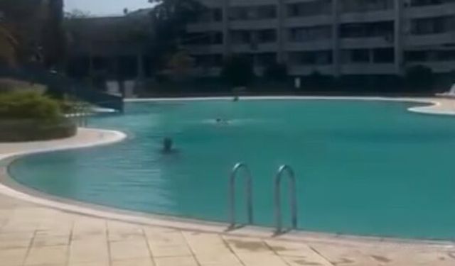 Mersin’de bir kadının haşema ile havuza alınmadığı iddiasına tutuklama