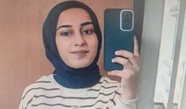 Van Barosu, Rojin Kabaiş dosyasından çekildi