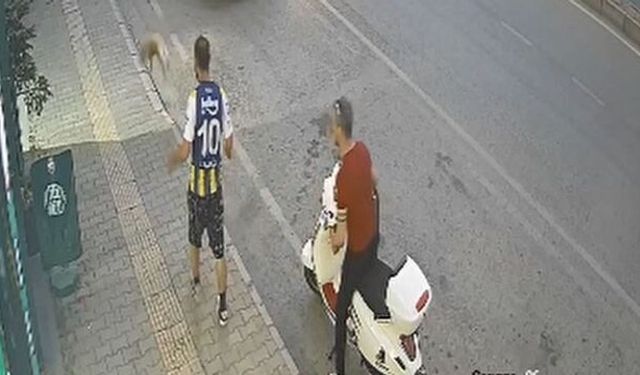 Samsun'da kediye şiddet kamerada