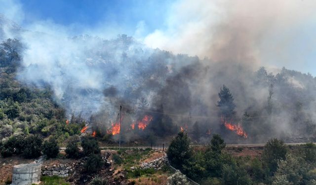 Alanya'daki orman yangını 2'nci gününde çalışmalar sürüyor