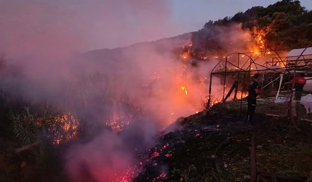 Antalya'da 3 günde 8 ilçede 34 yangın çıktı