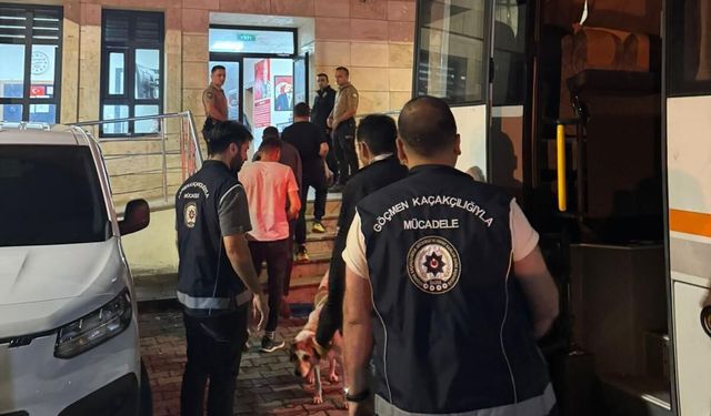Artvin'de 56 göçmen yakalandı; 3 şüpheliye işlem yapıldı