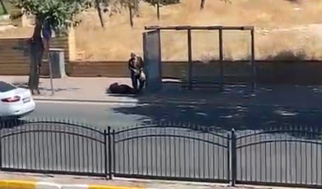 Durakta bekleyen eşini vurdu, polise teslim oldu