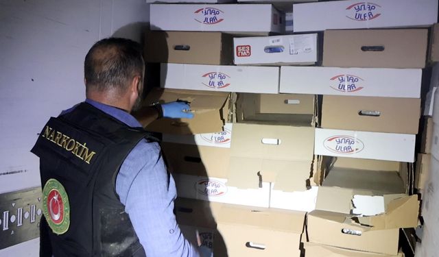 Kapıkule'de TIR'da 526 kilo uyuşturucu ele geçirildi
