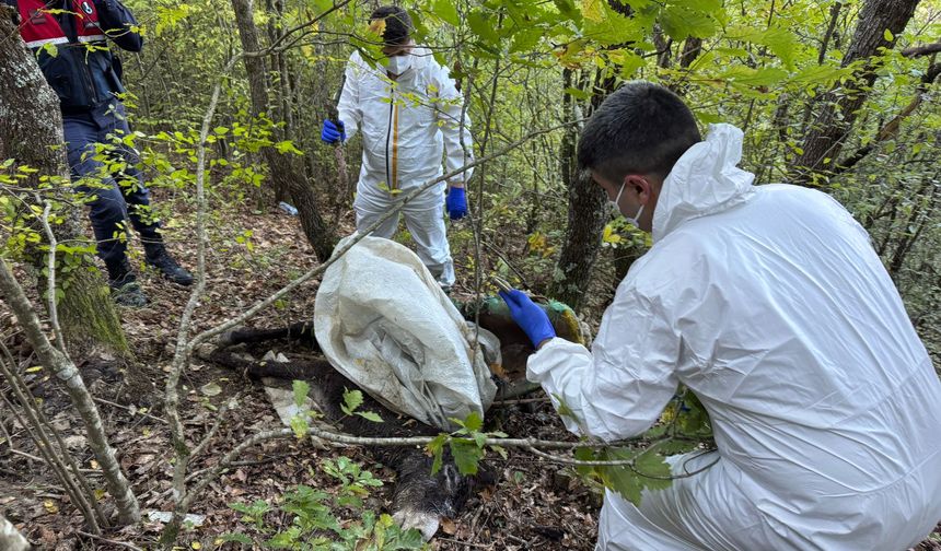 Komşu İlçeden Eşek Almaya Gidip, Dönmeyen Kişiyi Arama Çalışmaları 3'üncü Gününde