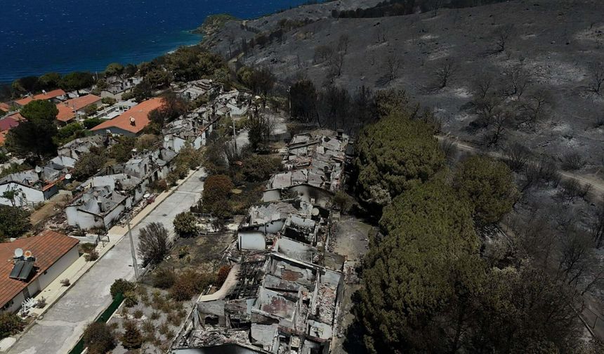 İzmir'de Orman Yangınları Sonrası Yangın Sigortasına Talep Arttı