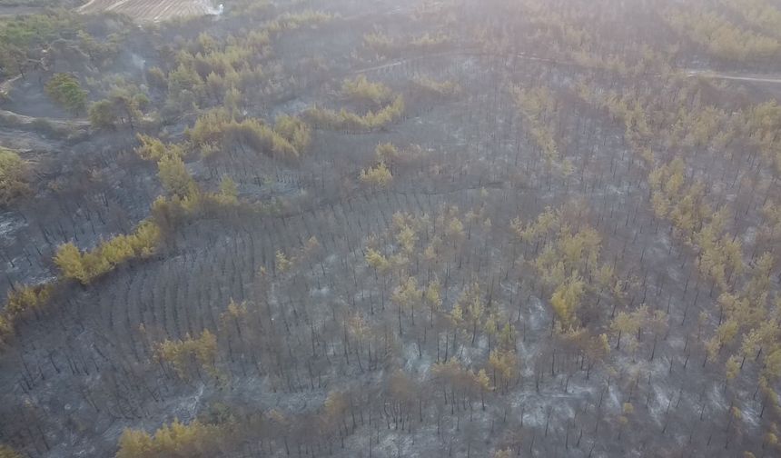 Çanakkale'deki Orman Yangını İkinci Gününde; Yanan Alanlar ve Evler Havadan Görüntülendi