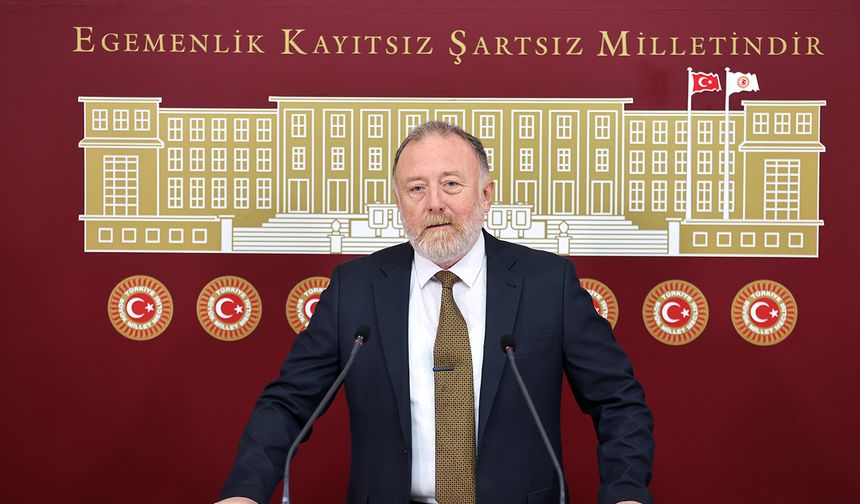 DEM Parti'li Temelli: Komisyon umarım İmralı'ya gider