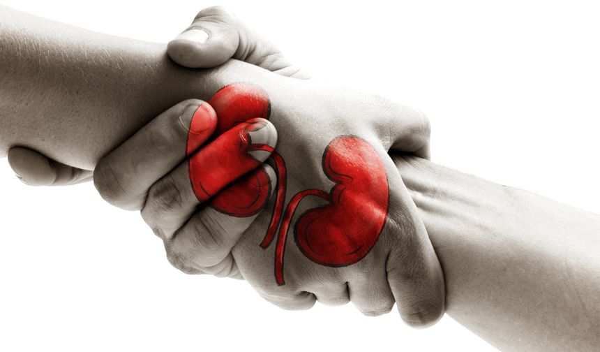 'İzmir, 102 binin üzerinde organ bağışı ile Türkiye birincisi'