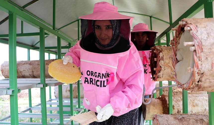 Pembe maskeli arıcı kadınlar, bal hasadında 'meme kanserine' dikkat çekti