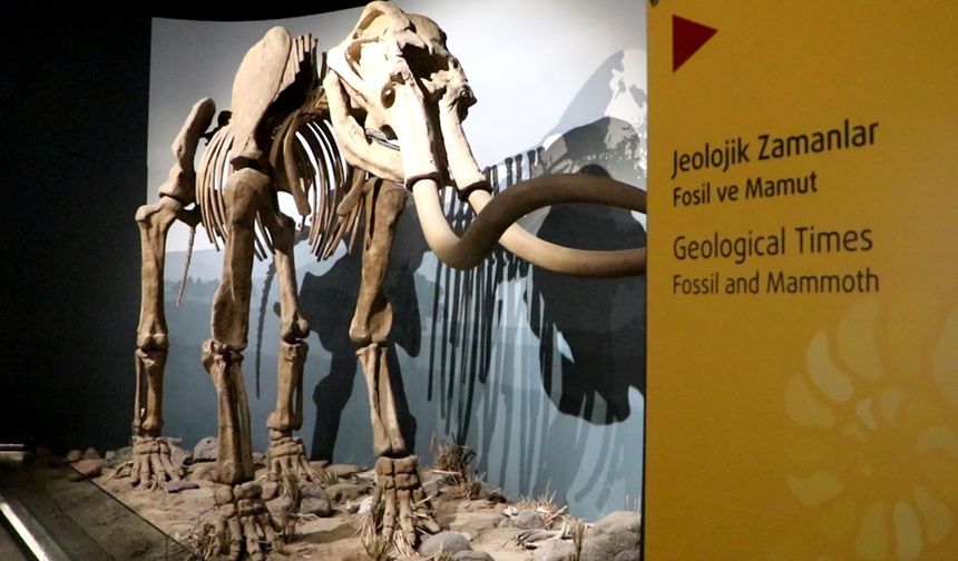 500 bin yıllık mamut fosilinin de sergilendiği müzeyi yaklaşık 100 bin kişi gezdi