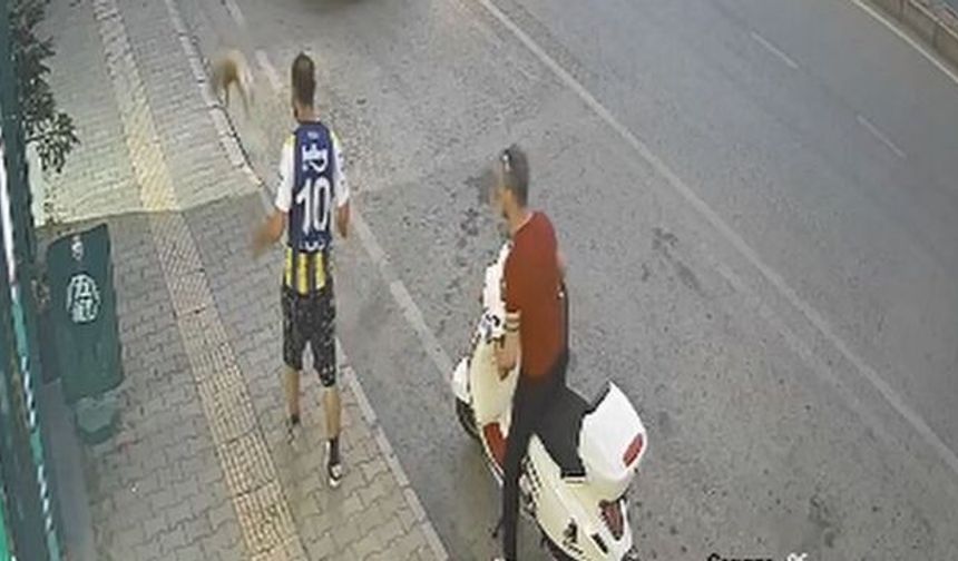 Samsun'da kediye şiddet kamerada