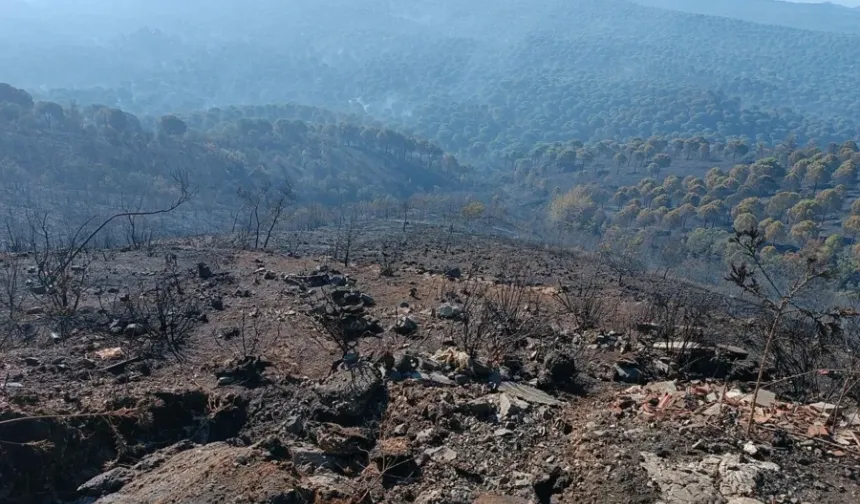 Muğla'da Fethiye yangını kontrol altında... Balıkesir ve Aydın'da mücadele sürüyor