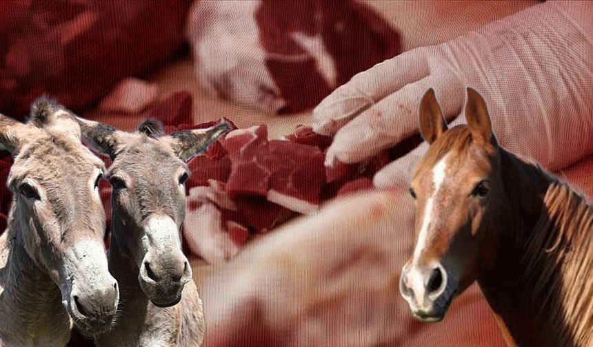 Bakanlık o firmaları ifşa etti!  Kırmızı et yerine vatandaşa eşek eti yedirdiler