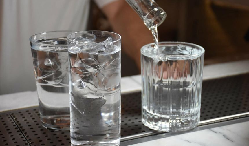 'Hijyenik olmayan buz, gıda zehirlenmesine neden olabilir'