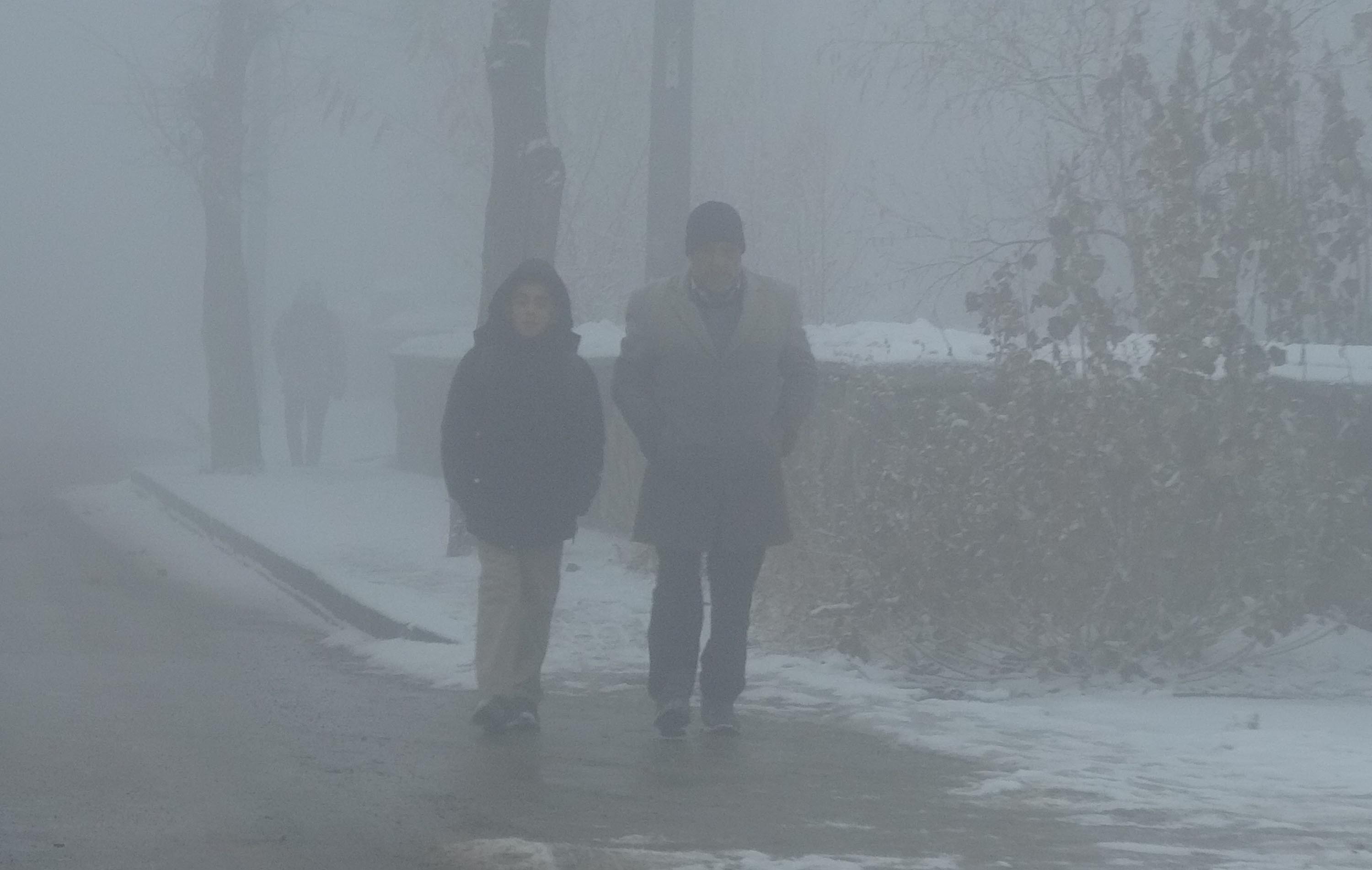 Erzurum'da Yoğun Sis Görüş Mesafesi 20 Metreye Kadar Düştü!-1