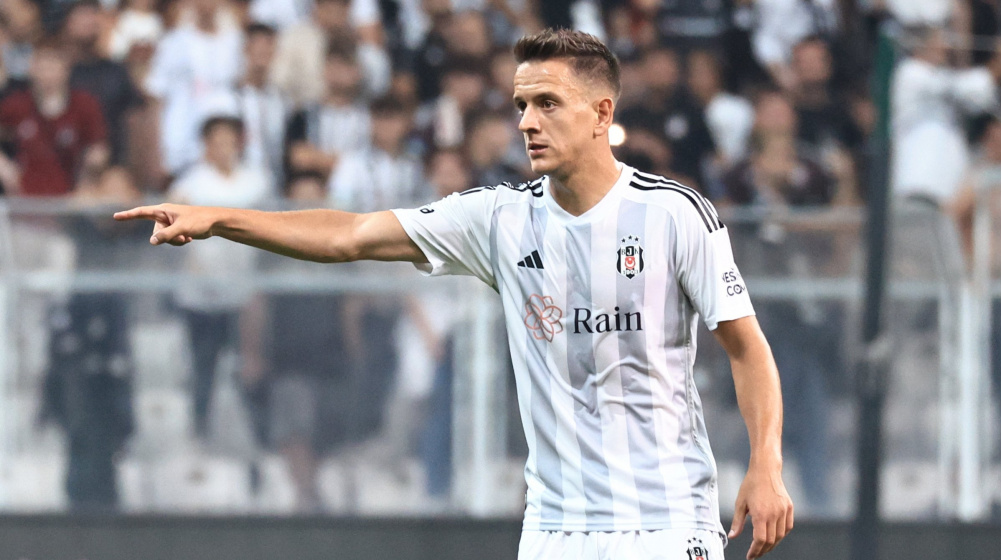 Bjk1