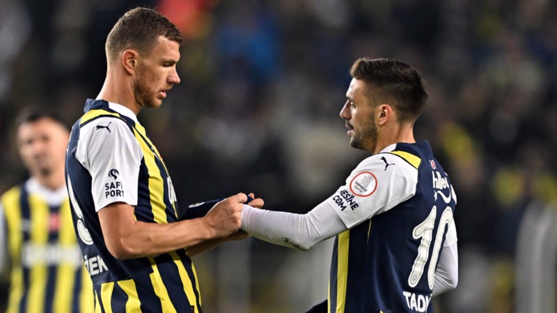 Dzekotadic1
