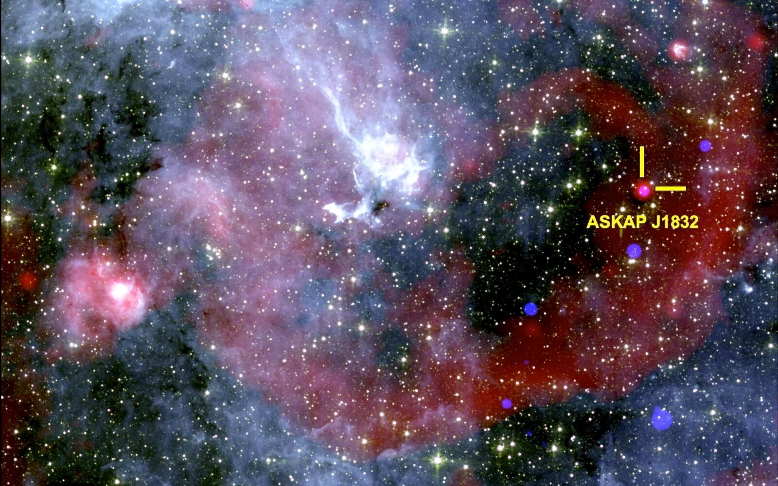 44 B