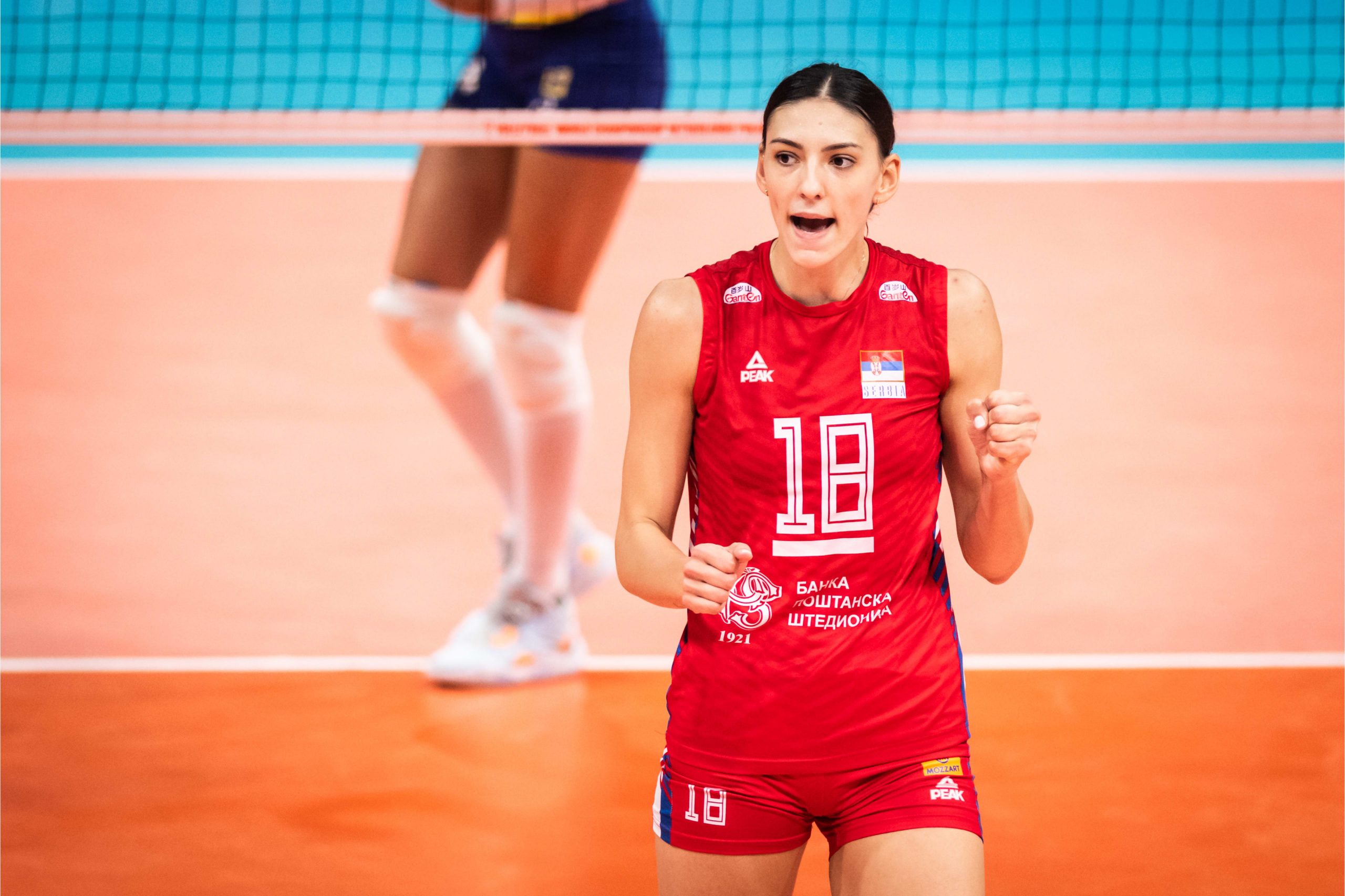 Boskovic1