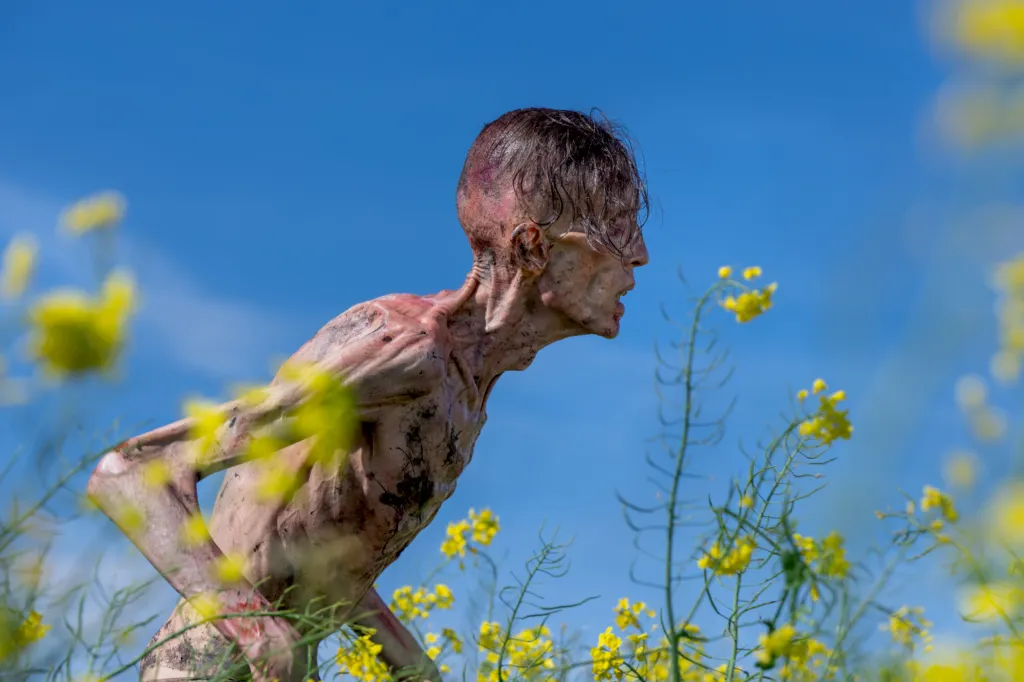 D F 03343 2000X1333 Thumbnail