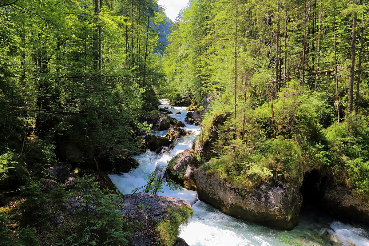 Hallstatt Waldbach