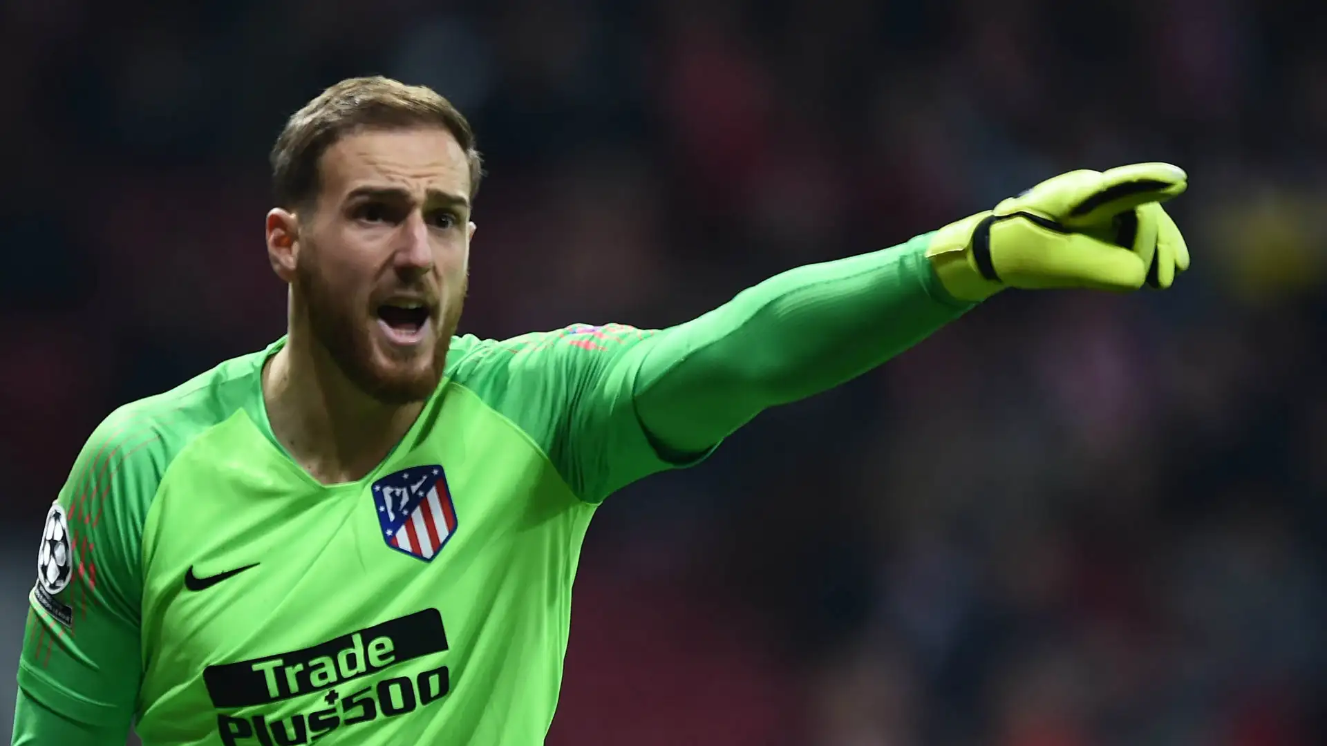 Oblak1-1
