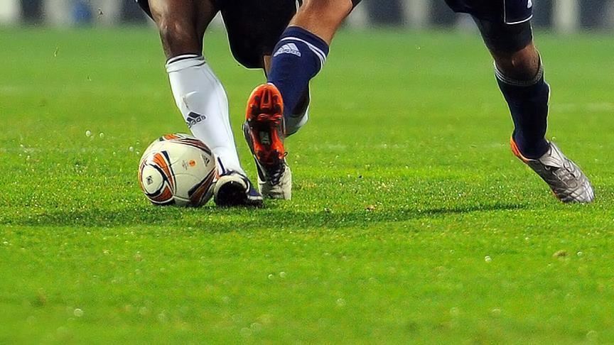 Tff1.Lig