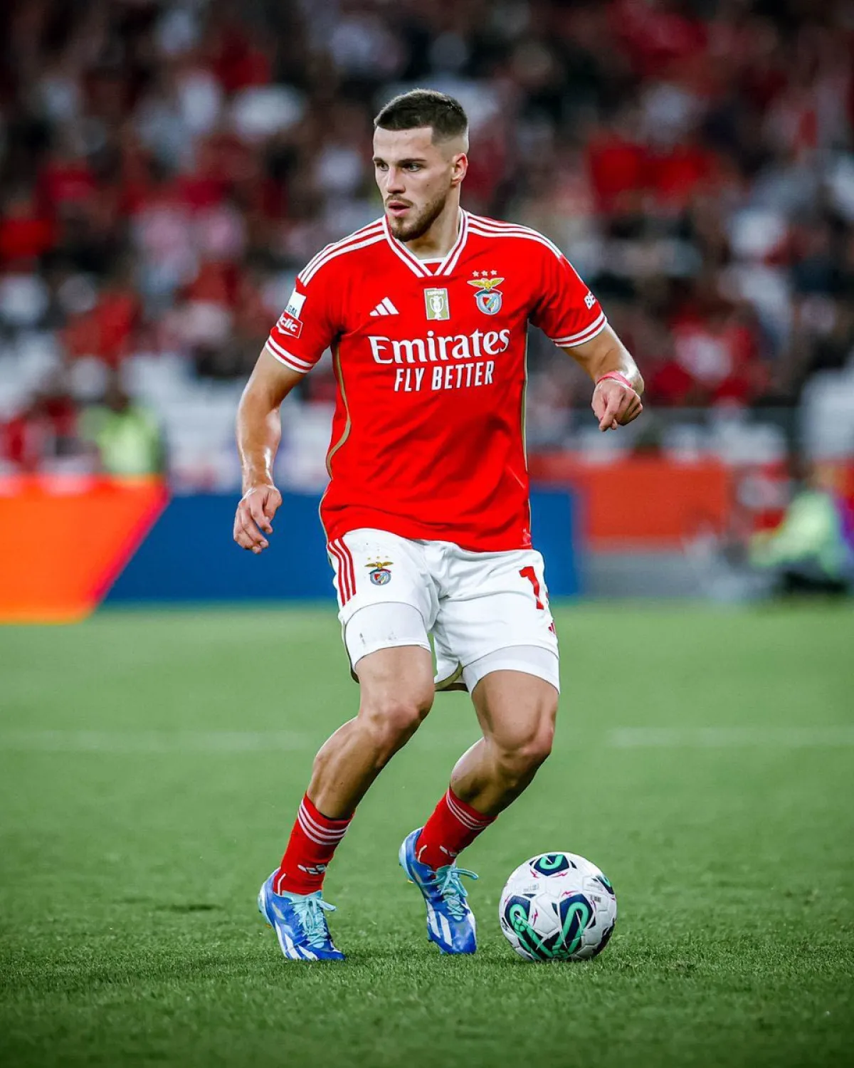 Davidjurasek