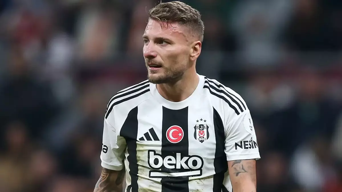 Immobile-1