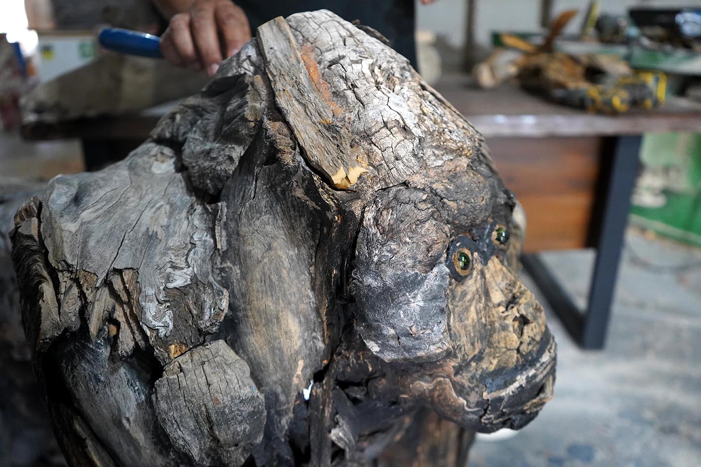 A N T A L Y A D O G A N I N A T I K L A R I N I S A N A T A D O N U S 991806 294288