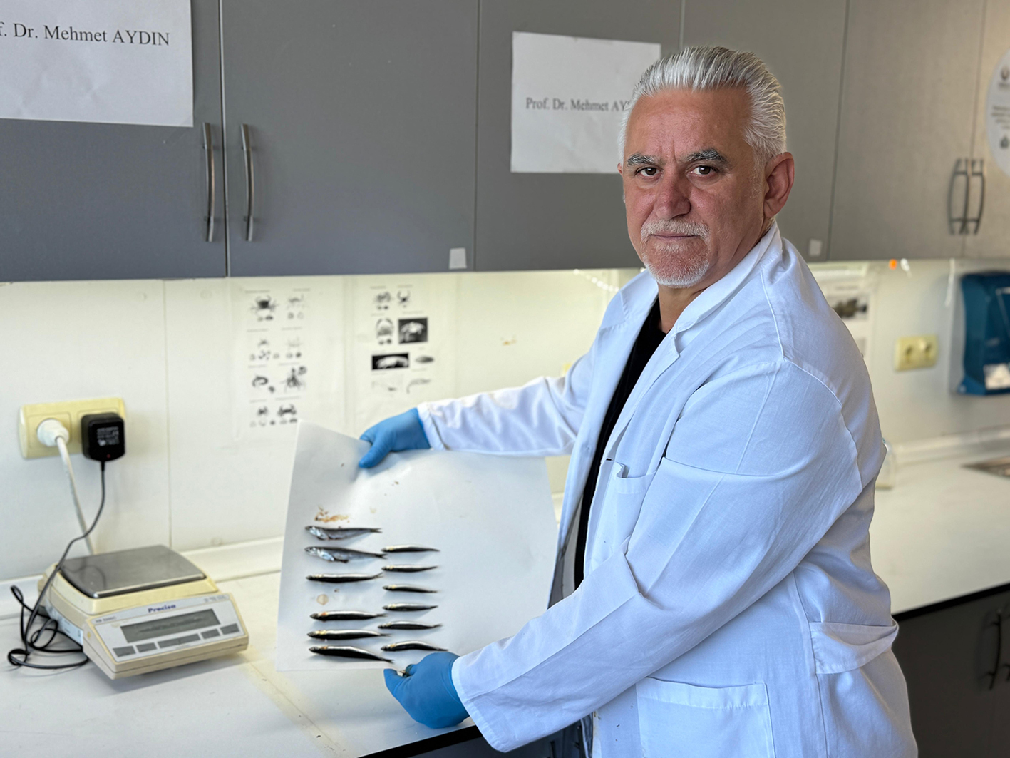 K A R A D E N I Z D E A S I R I A V C I L I K N E D E N I Y L E H A M 991059 294061