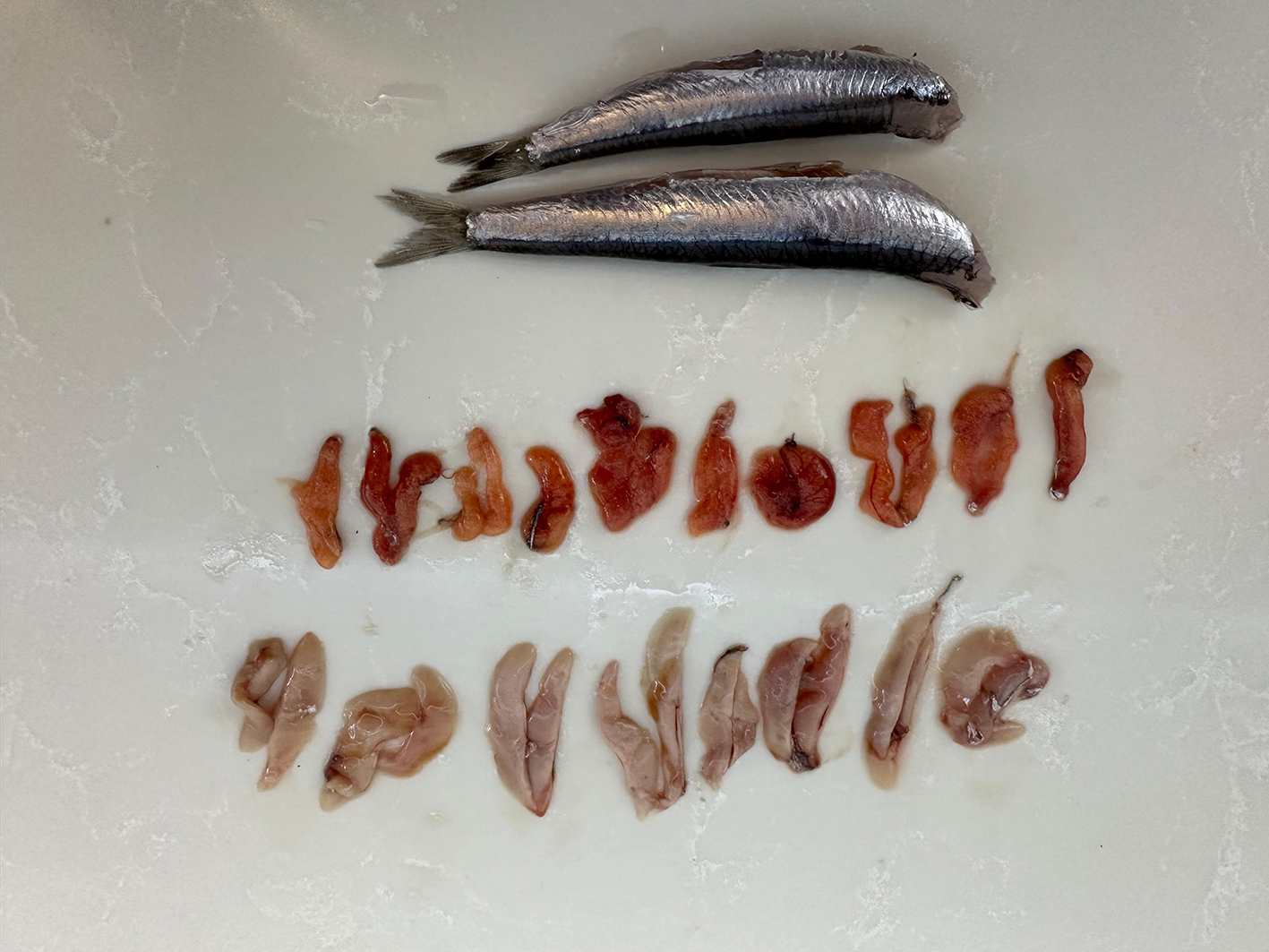 K A R A D E N I Z D E A S I R I A V C I L I K N E D E N I Y L E H A M 991086 294061