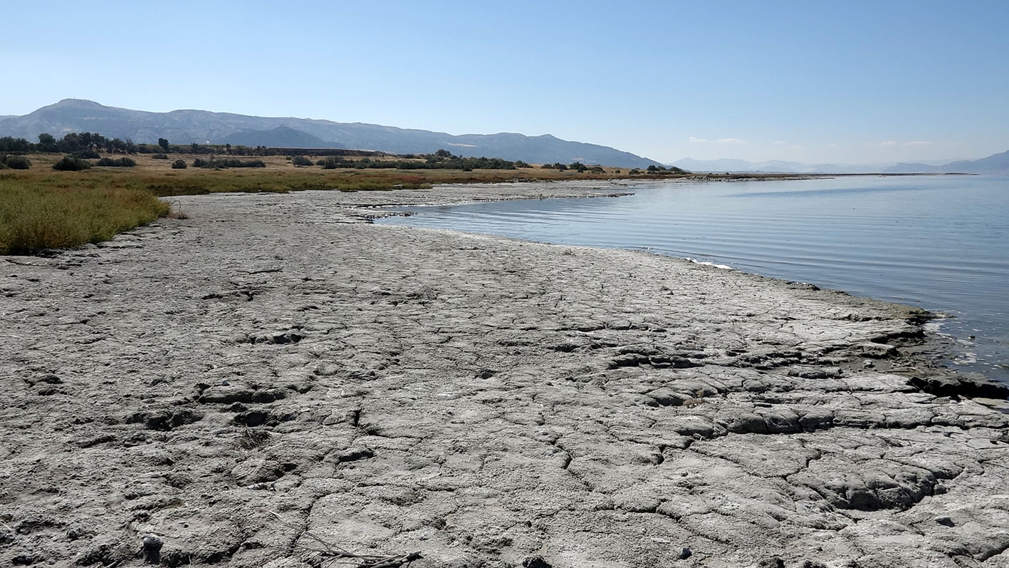 55 Y I L D A 213 M E T R E C E K I L E N B U R D U R G O L U 1038453 308192