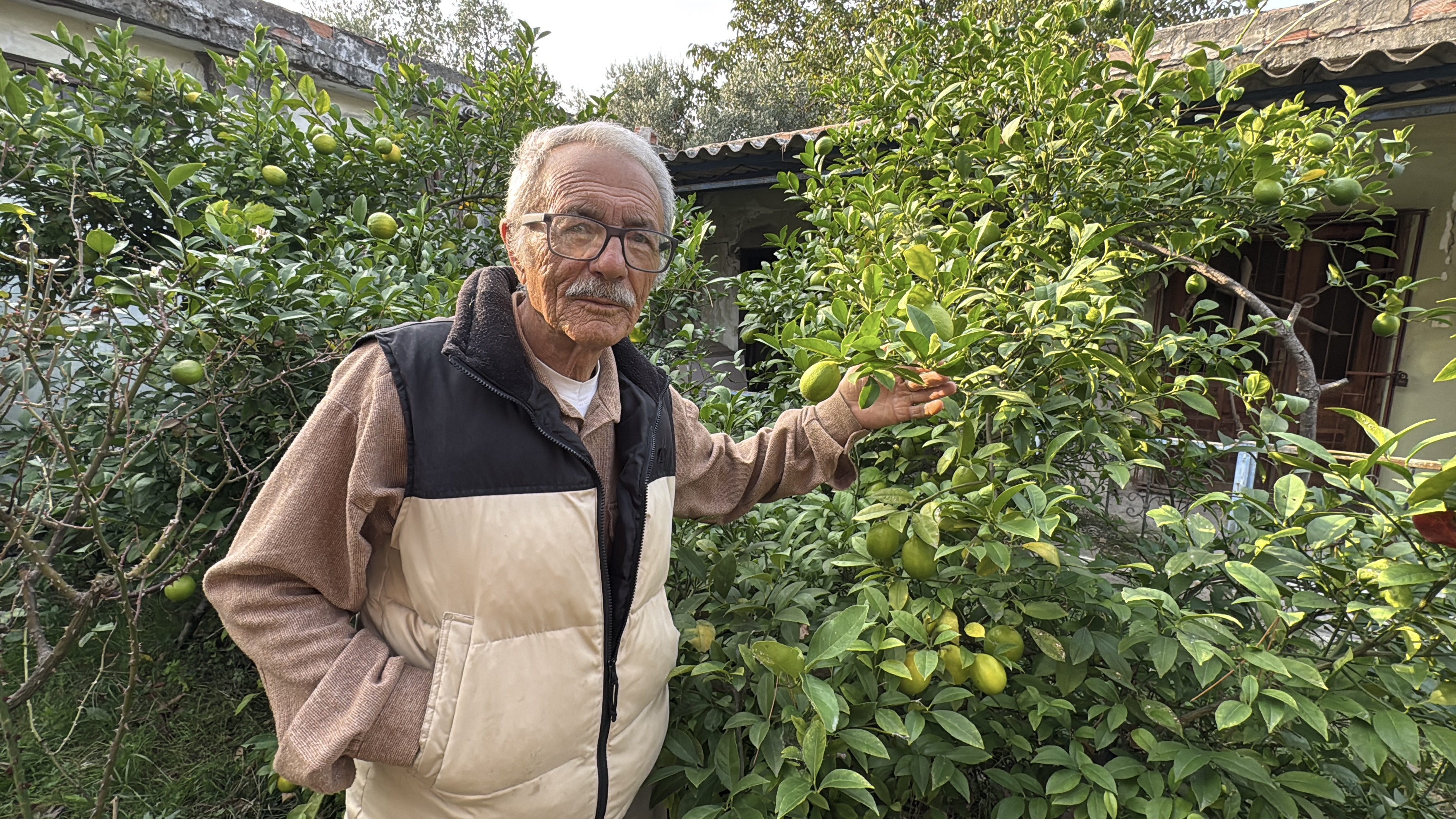 86 Y A S I N D A A R A Z I S I N D E 54 F A R K L I O R G A N I K 1017641 301912