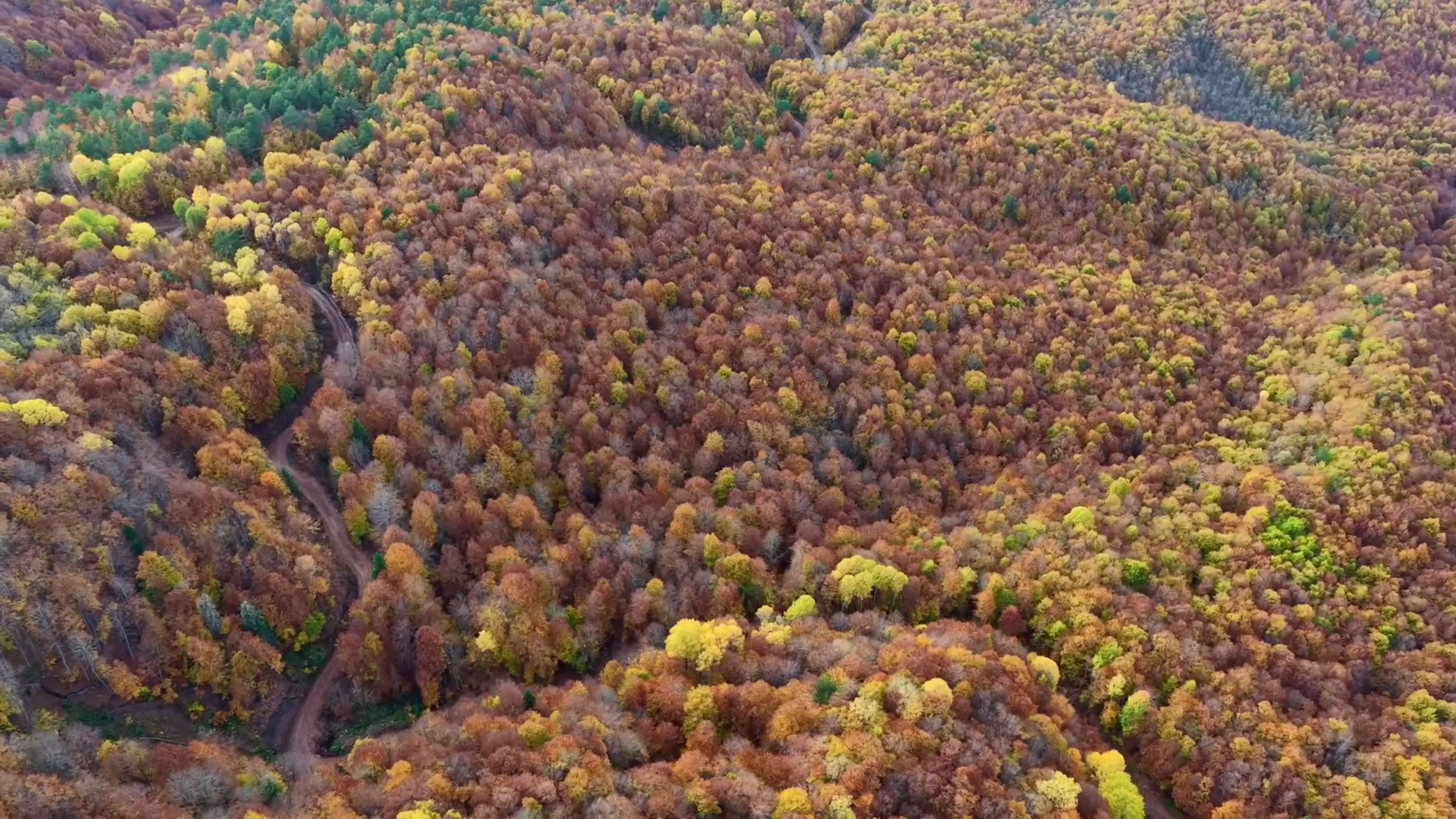 B O L U M E N G E N D E S O N B A H A R G U Z E L L I G I 999480 296545